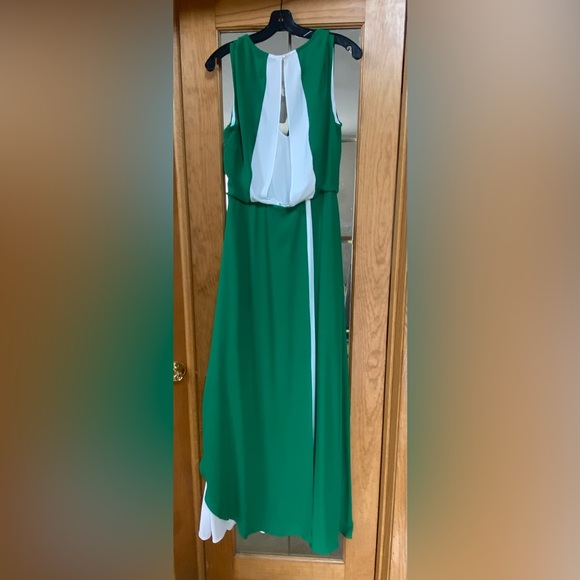 Brand New Stunning BCBG Green & White Dress - Picture 4 of 4